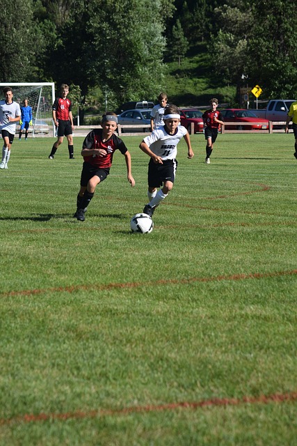 走过高潮低 走过高潮低