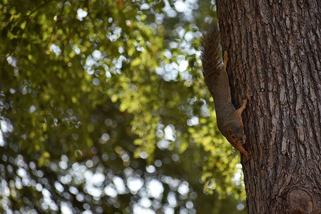 每一个赛季 每一个赛季