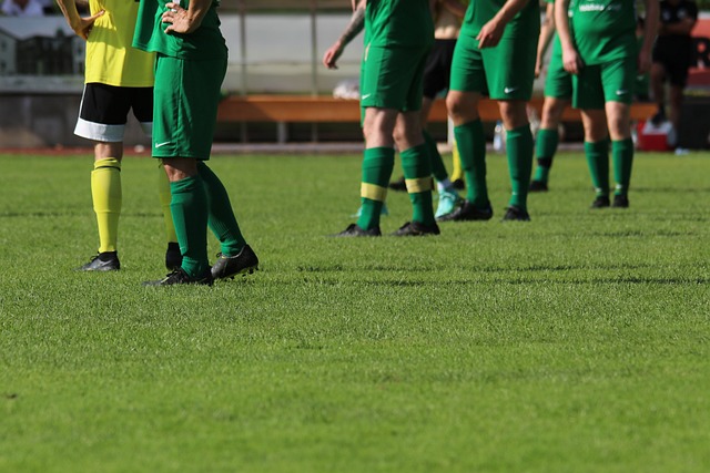 替补席的效 替补席的效