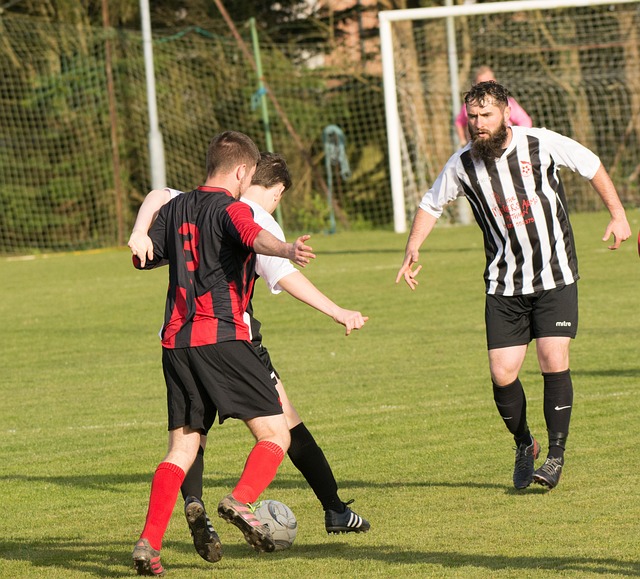 曼城管理層 曼城管理層