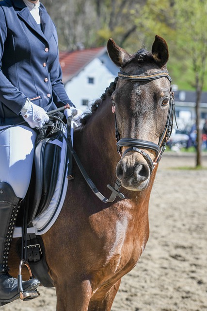 這不僅象徵 這不僅象徵