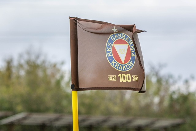 从赛程安排 从赛程安排