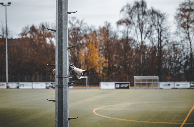 我们需要了 我们需要了