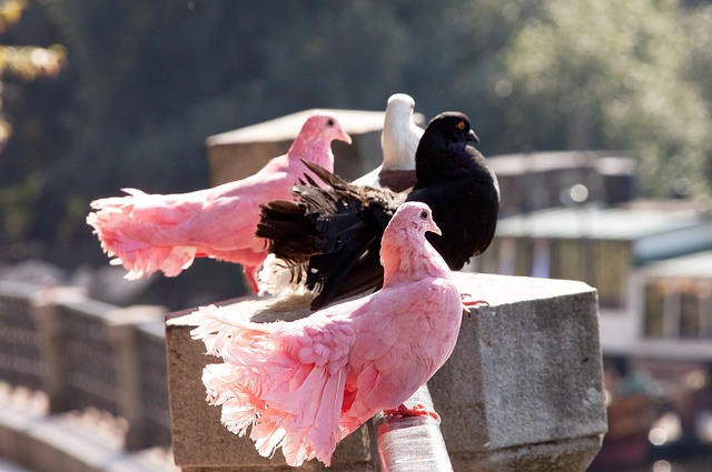 定比赛基调 定比赛基调