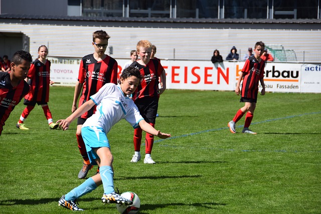 分榜揭晓 分榜揭晓